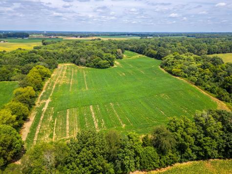 5016 Caney Sink Road Adams TN 37010
