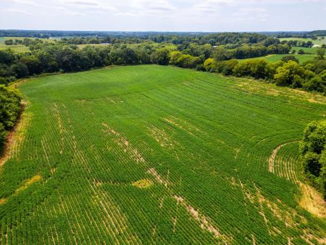 5016 Caney Sink Road Adams TN 37010