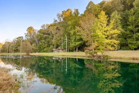0 Puckett Hollow Road Centerville TN 37033