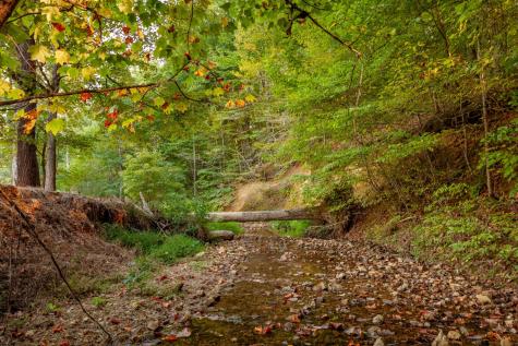 0 Puckett Hollow Road Centerville TN 37033