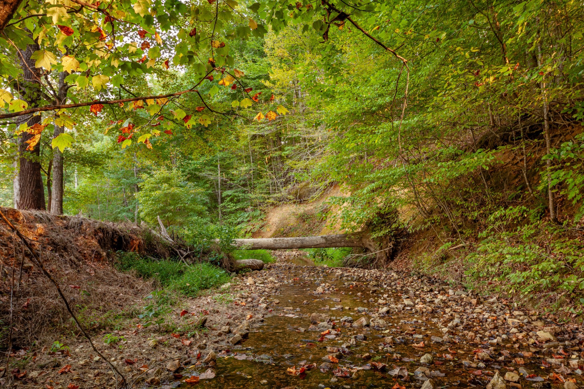 0 Puckett Hollow Road Centerville TN 37033