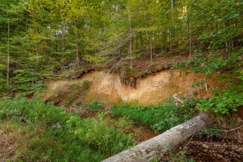 0 Puckett Hollow Road Centerville TN 37033