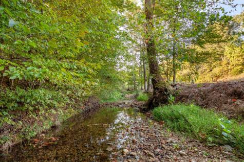 0 Puckett Hollow Road Centerville TN 37033