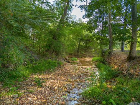 0 Puckett Hollow Road Centerville TN 37033