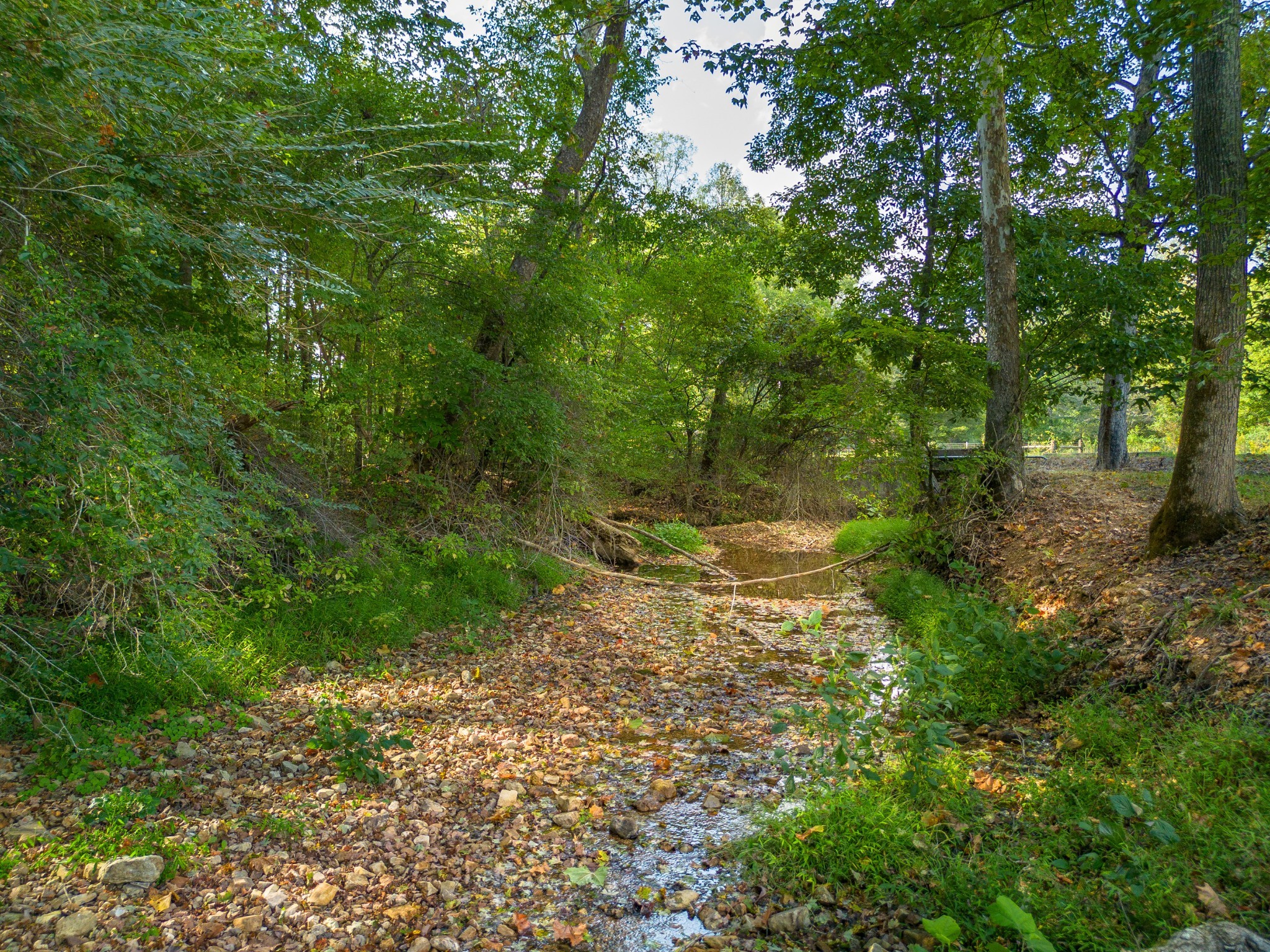 0 Puckett Hollow Road Centerville TN 37033