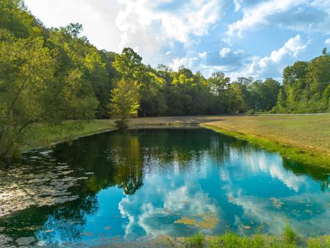 0 Puckett Hollow Road Centerville TN 37033