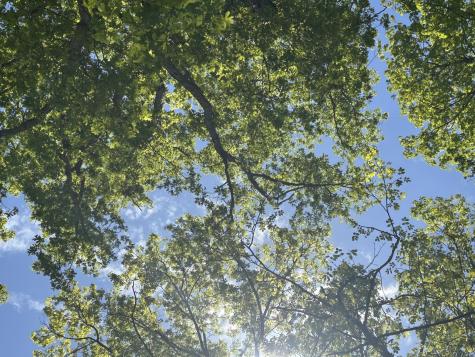 460 Volunteer Street Jasper TN 37347