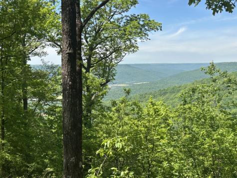 460 Volunteer Street Jasper TN 37347