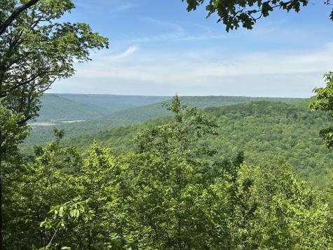 460 Volunteer Street Jasper TN 37347