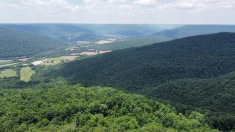 460 Volunteer Street Jasper TN 37347