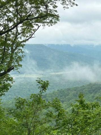 460 Volunteer Street Jasper TN 37347