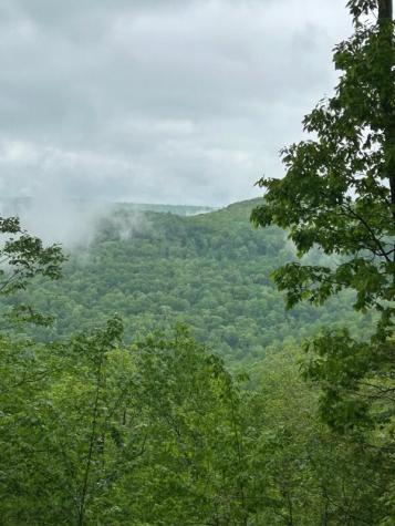 460 Volunteer Street Jasper TN 37347