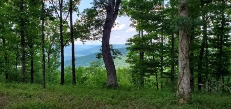 460 Volunteer Street Jasper TN 37347