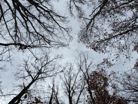 460 Volunteer Street Jasper TN 37347