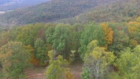 460 Volunteer Street Jasper TN 37347