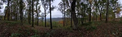 460 Volunteer Street Jasper TN 37347