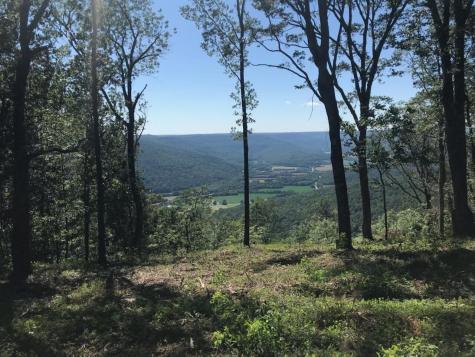 460 Volunteer Street Jasper TN 37347