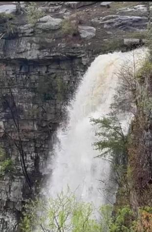 460 Volunteer Street Jasper TN 37347