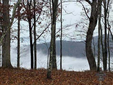 460 Volunteer Street Jasper TN 37347