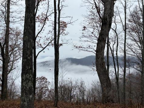 460 Volunteer Street Jasper TN 37347