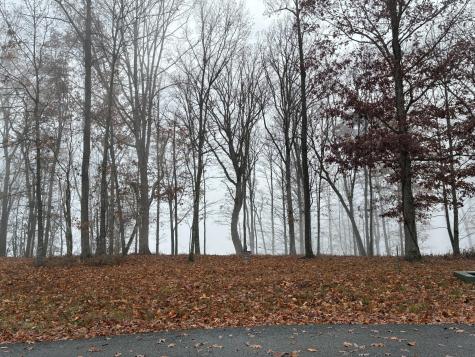 460 Volunteer Street Jasper TN 37347