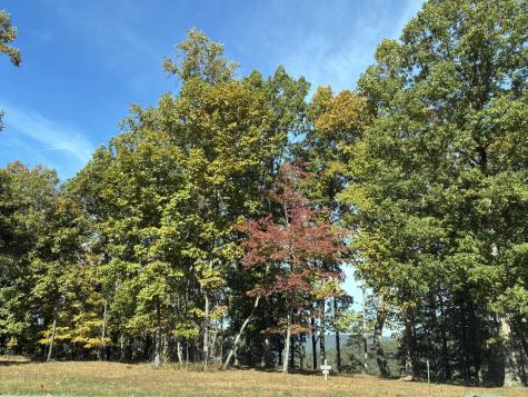 460 Volunteer Street Jasper TN 37347