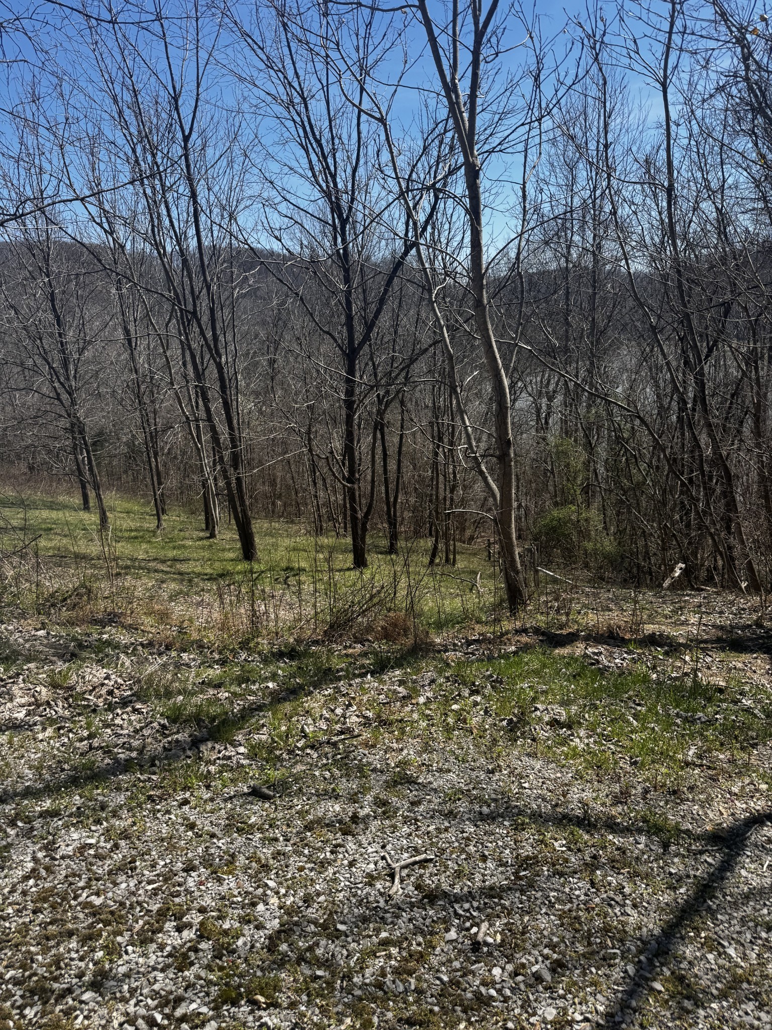 0 Dakota Lane Smithville TN 37166