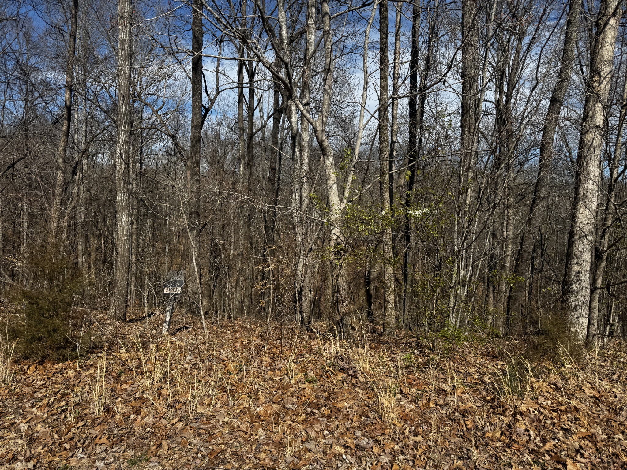 0 Dakota Lane Smithville TN 37166