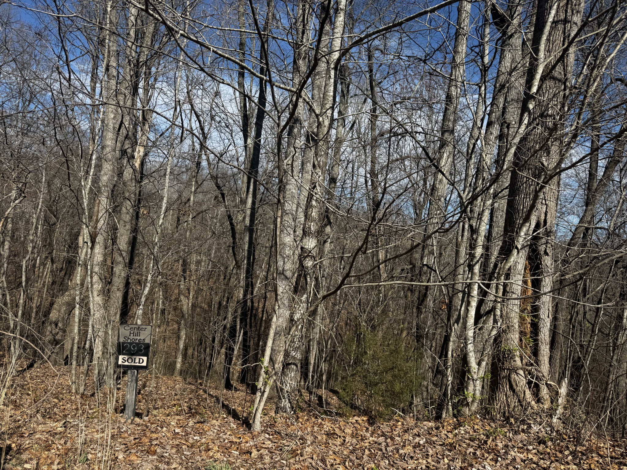 0 Dakota Lane Smithville TN 37166