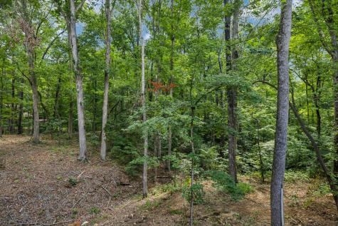 1007 Pheasant Court Kingston Springs TN 37082