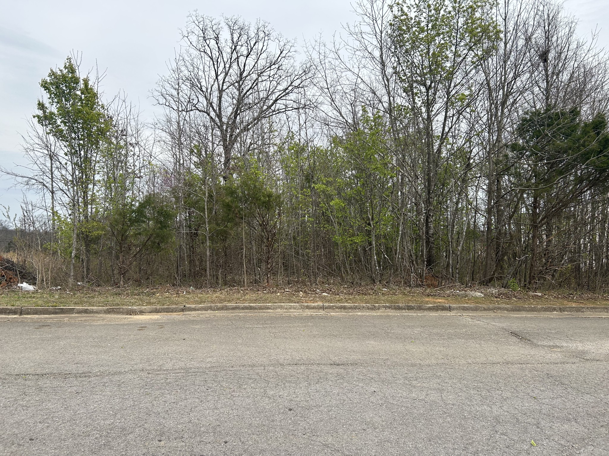 605 S Wall Street Shelbyville TN 37160