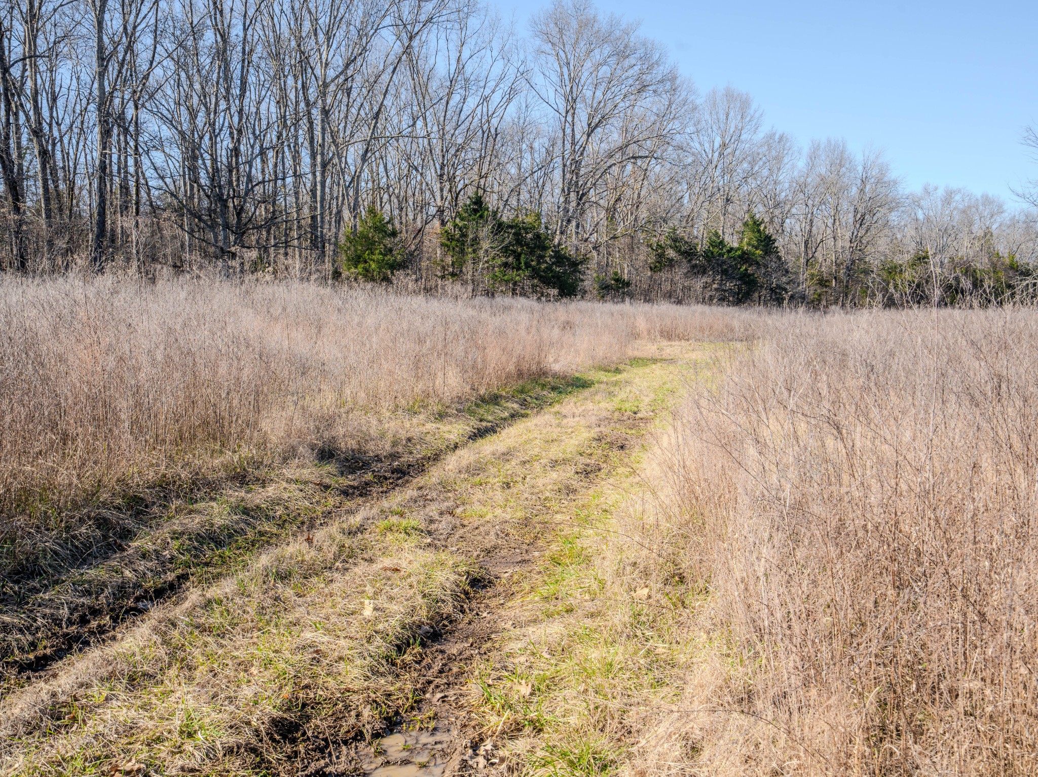 0 Lasea Road Spring Hill TN 37174