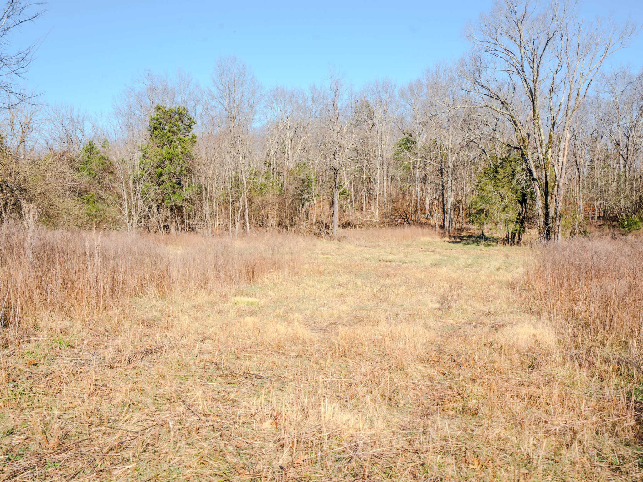 0 Lasea Road Spring Hill TN 37174