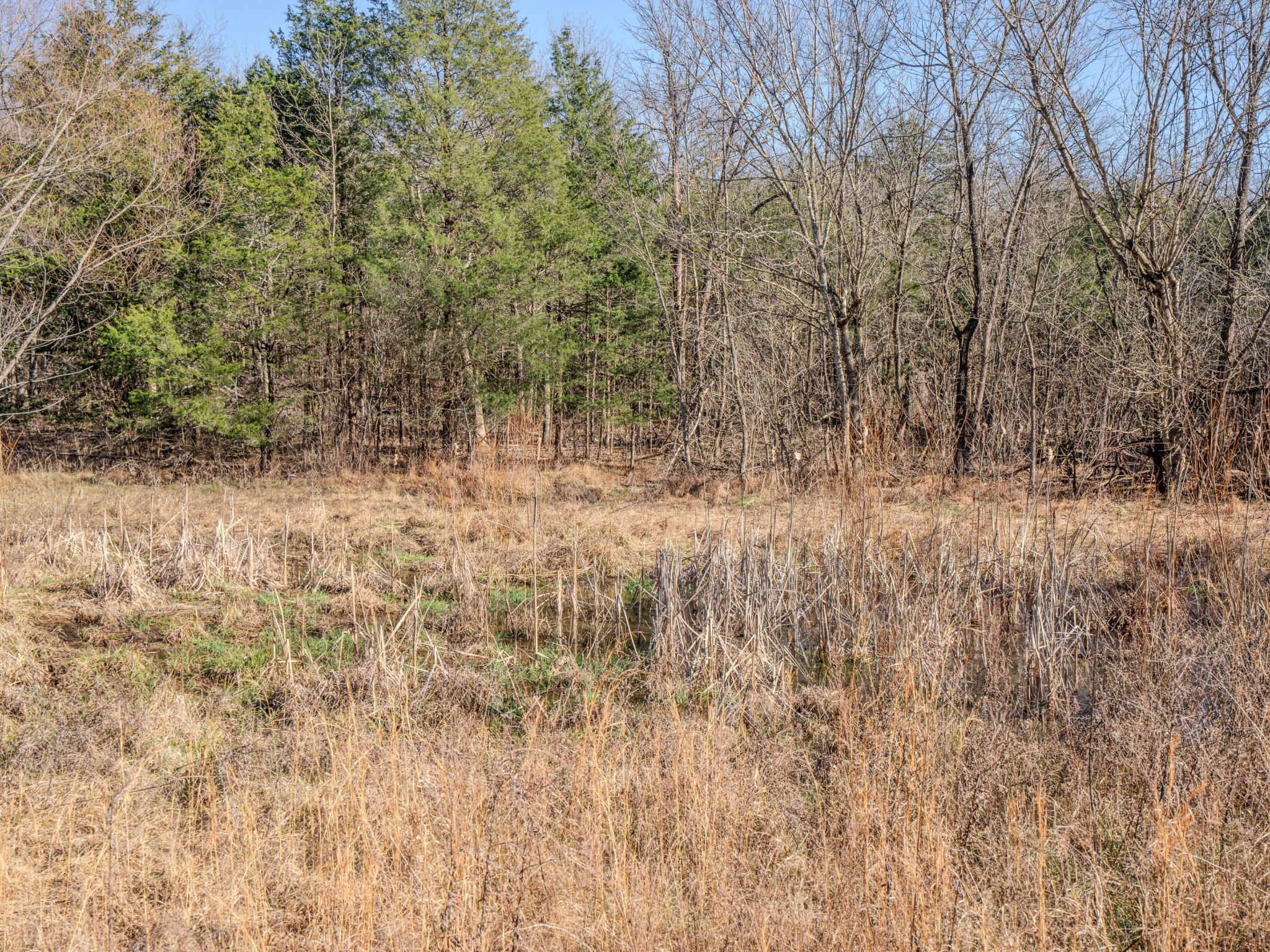 0 Lasea Road Spring Hill TN 37174
