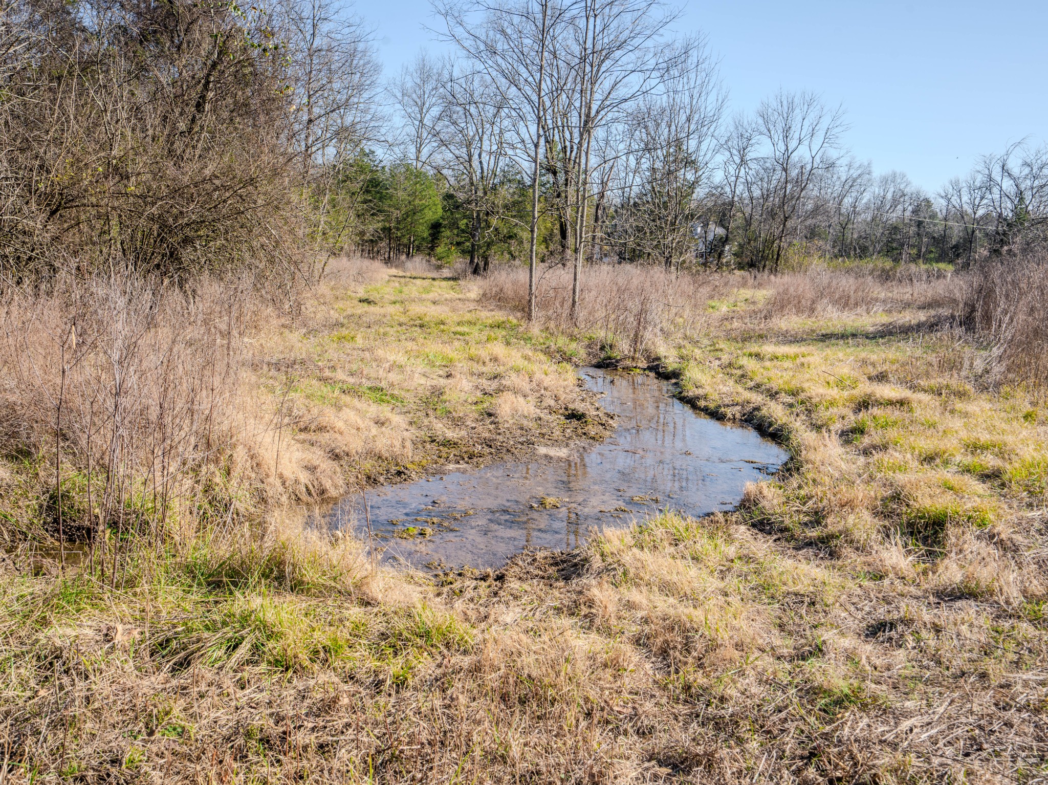0 Lasea Road Spring Hill TN 37174