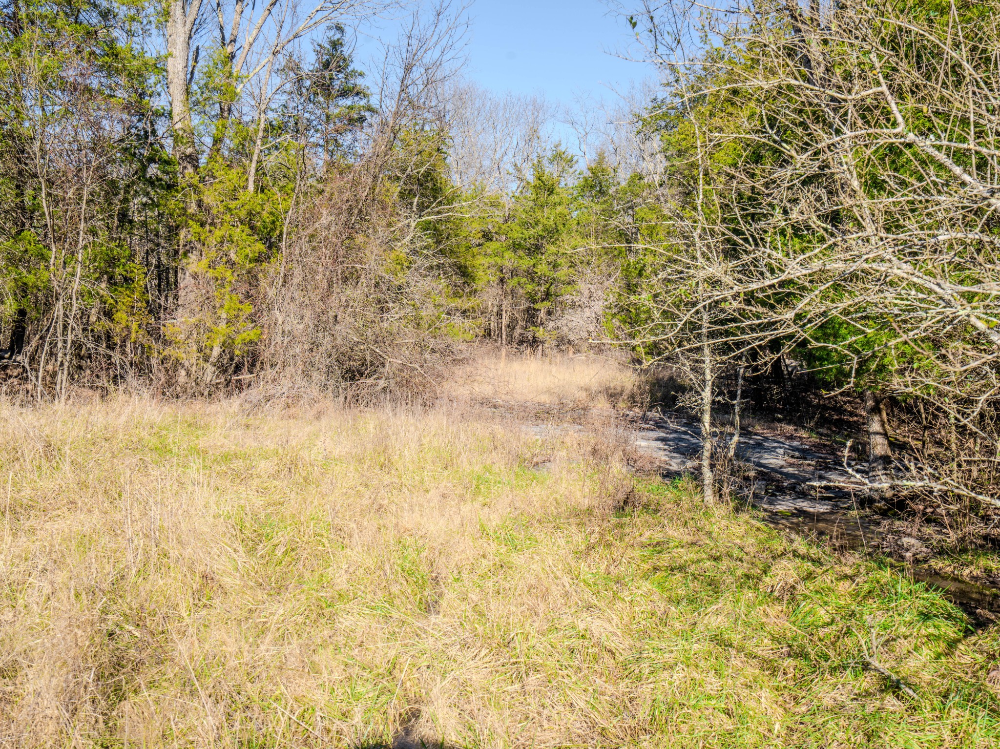 0 Lasea Road Spring Hill TN 37174