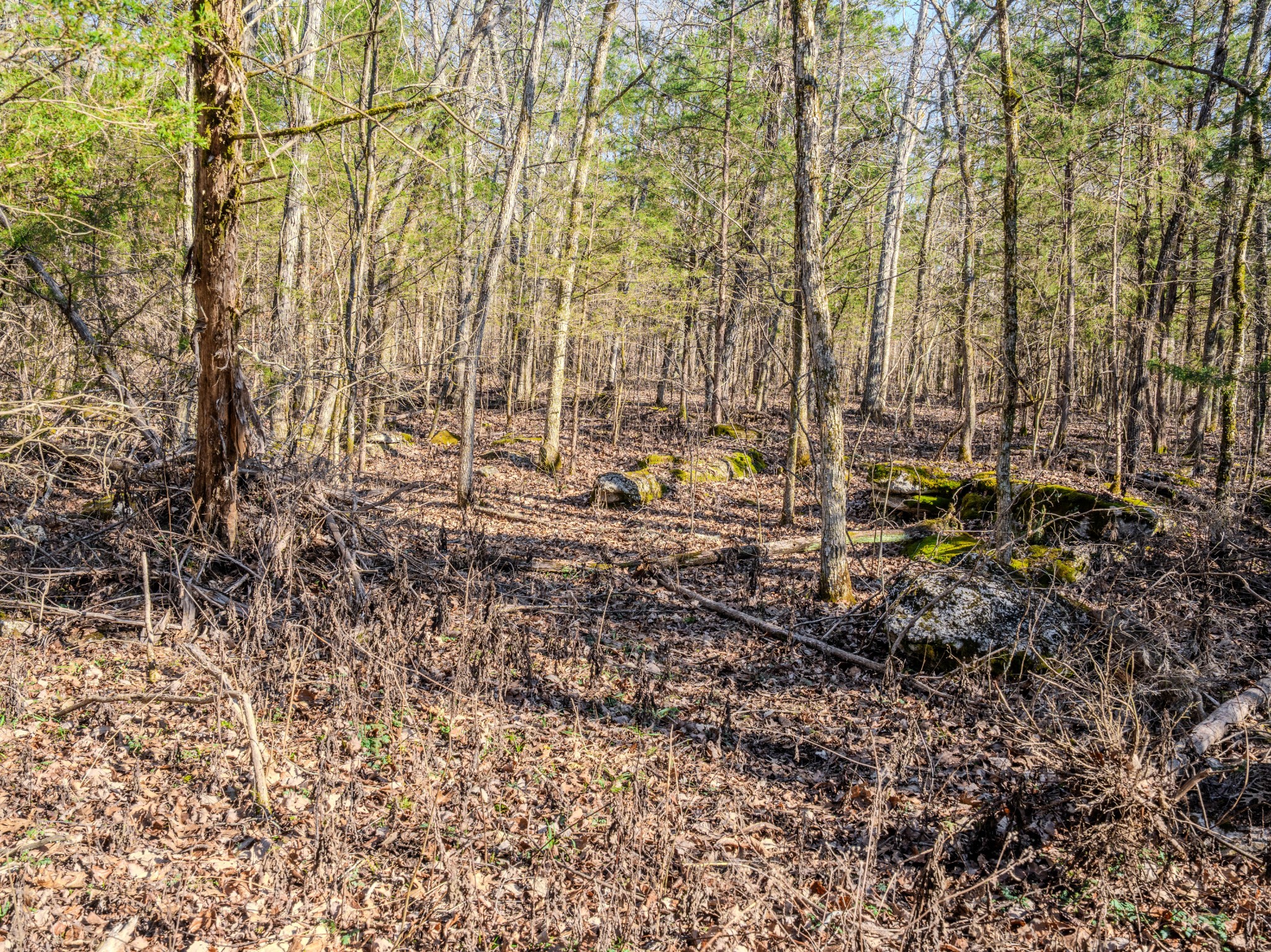 0 Lasea Road Spring Hill TN 37174