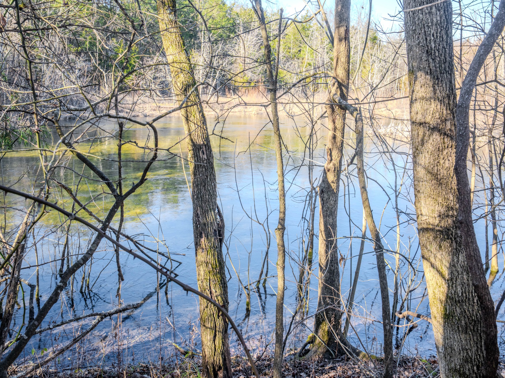 0 Lasea Road Spring Hill TN 37174