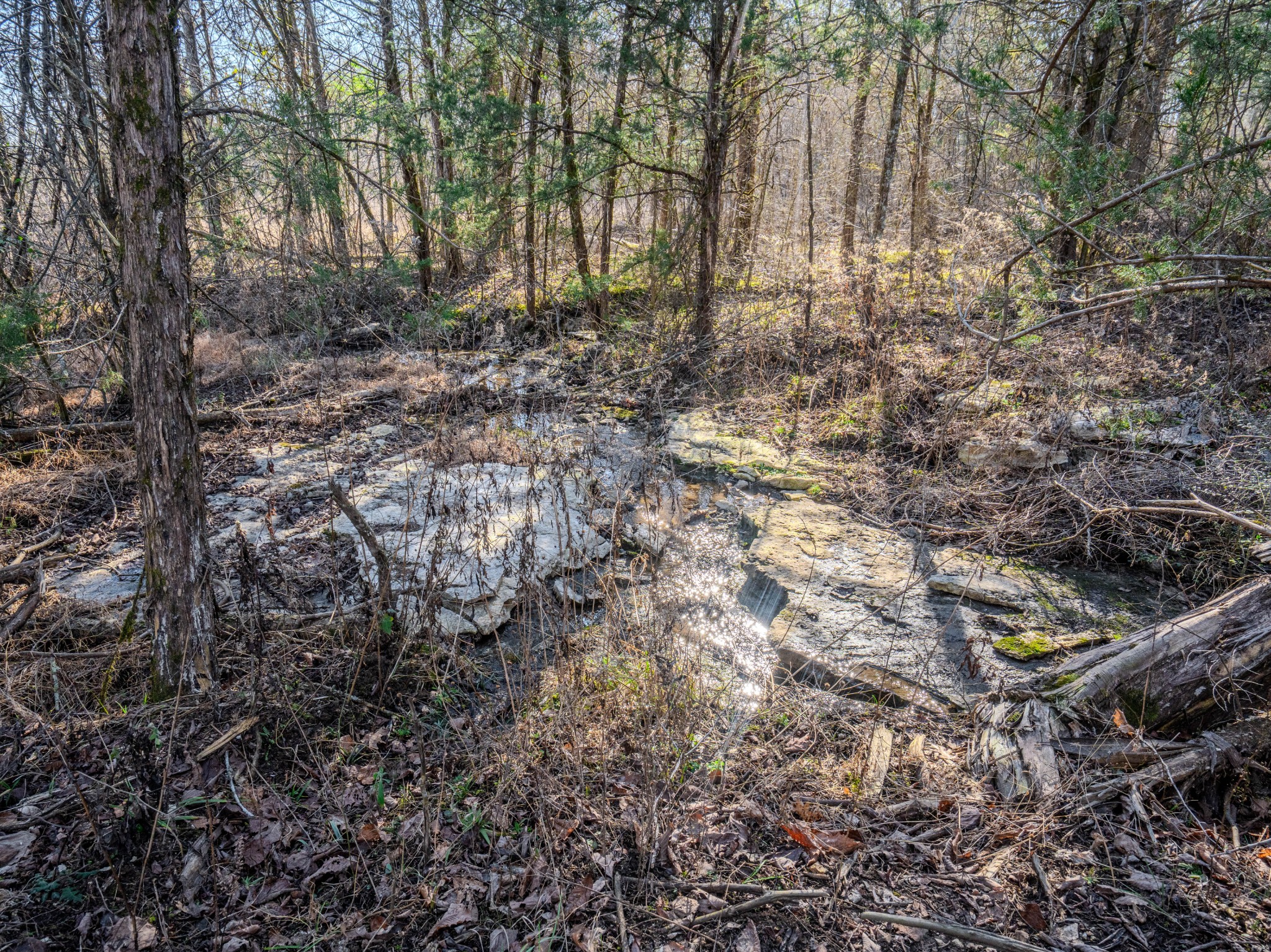 0 Lasea Road Spring Hill TN 37174