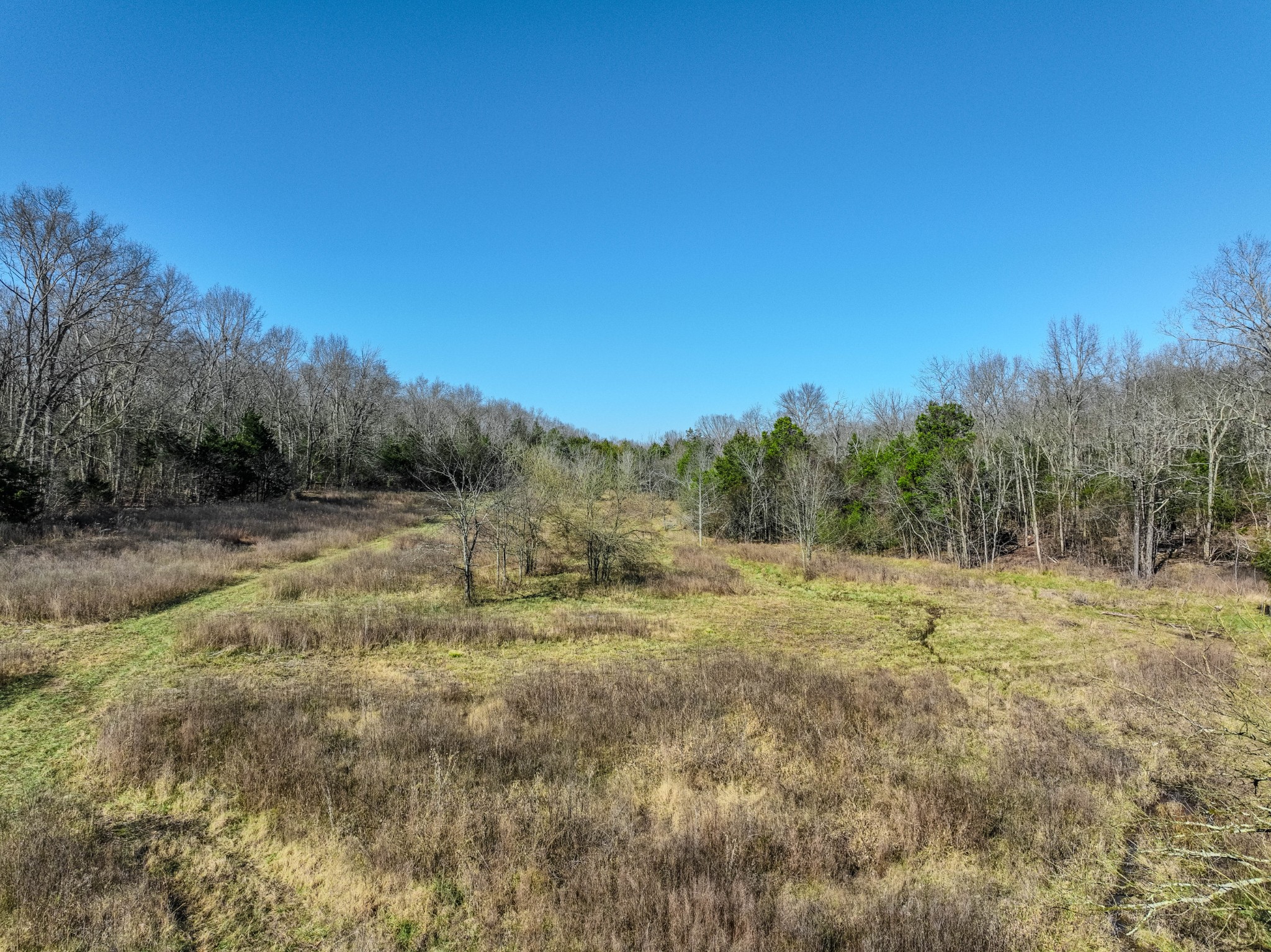 0 Lasea Road Spring Hill TN 37174