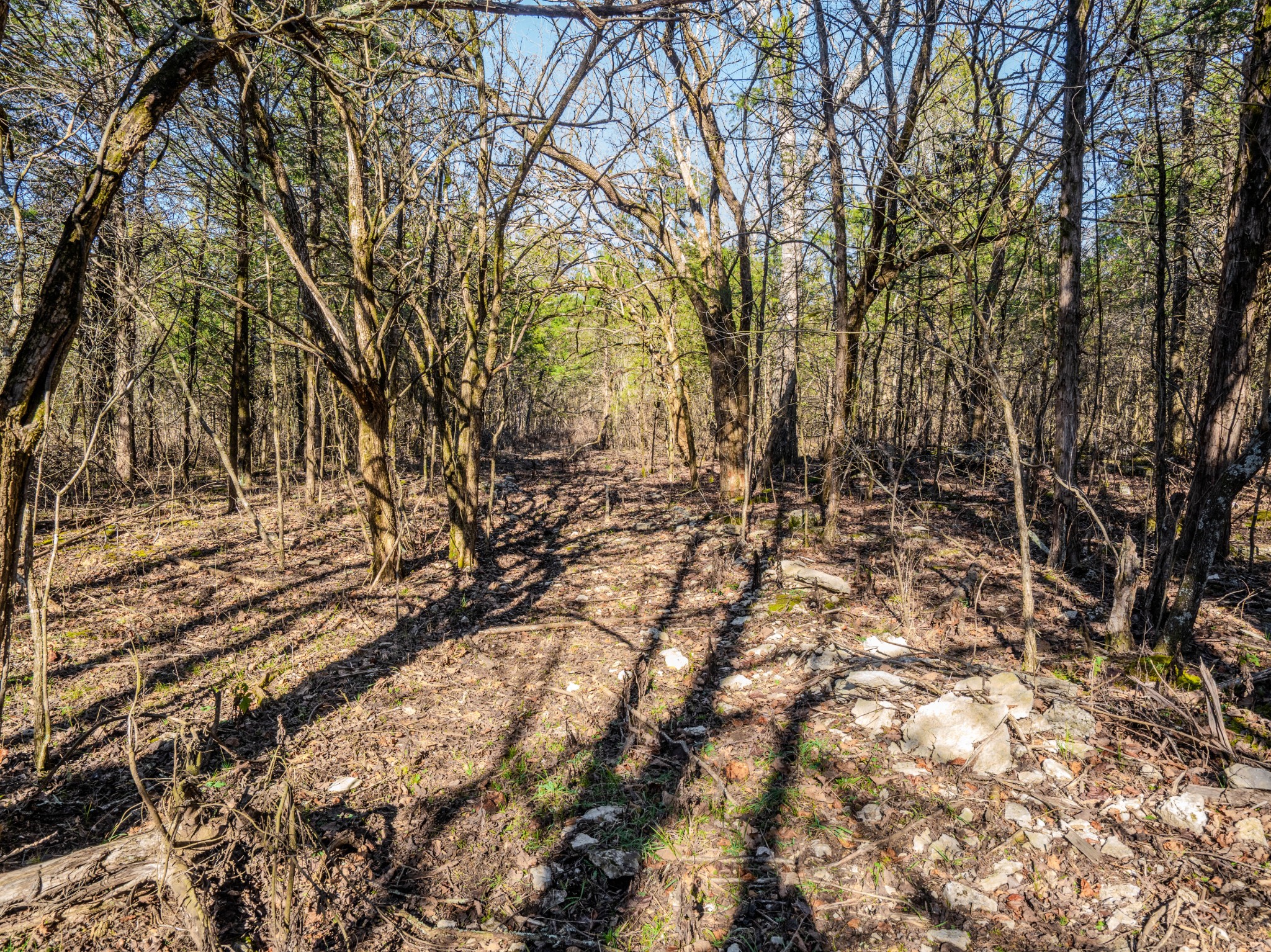 0 Lasea Road Spring Hill TN 37174