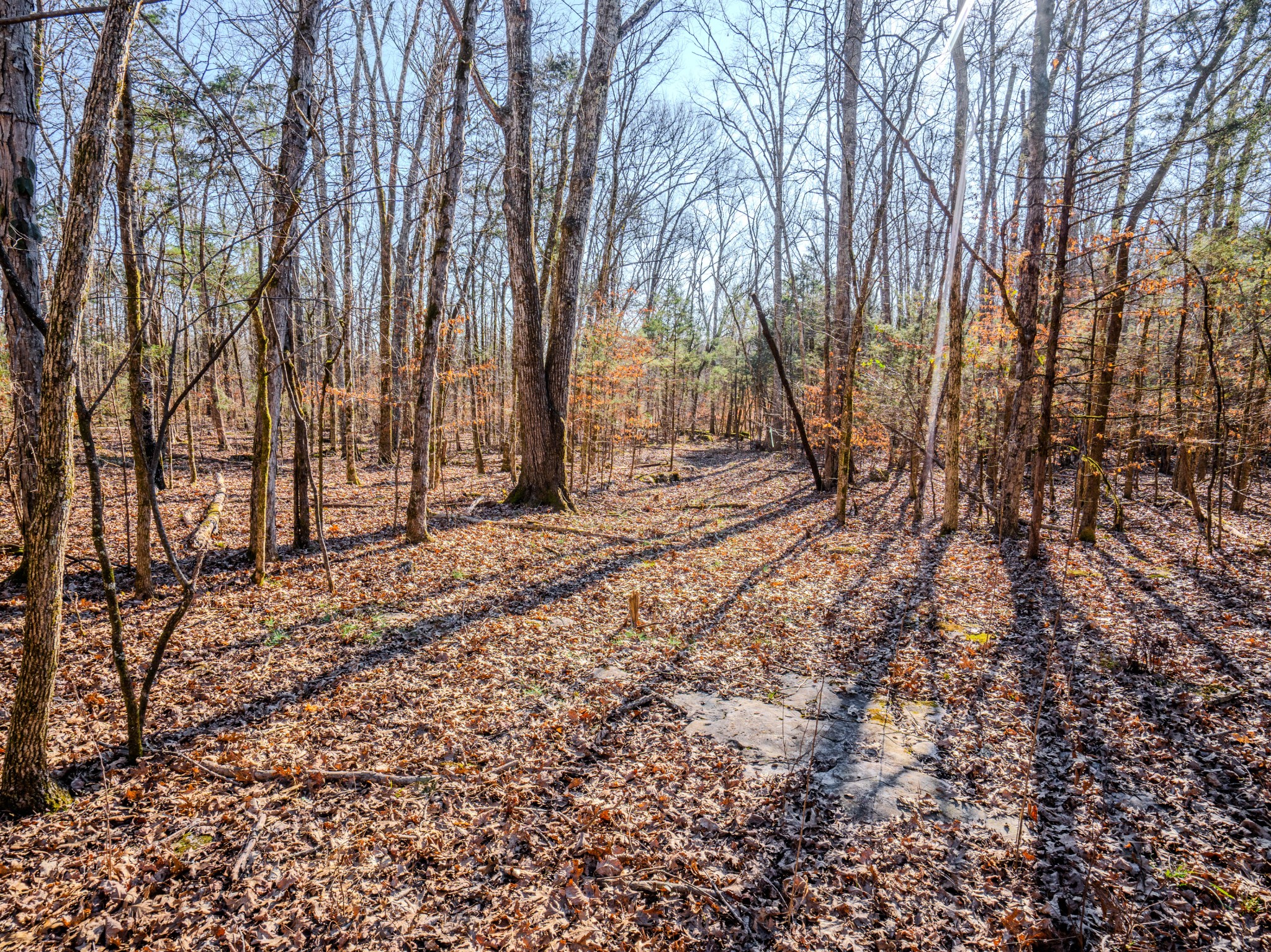 0 Lasea Road Spring Hill TN 37174