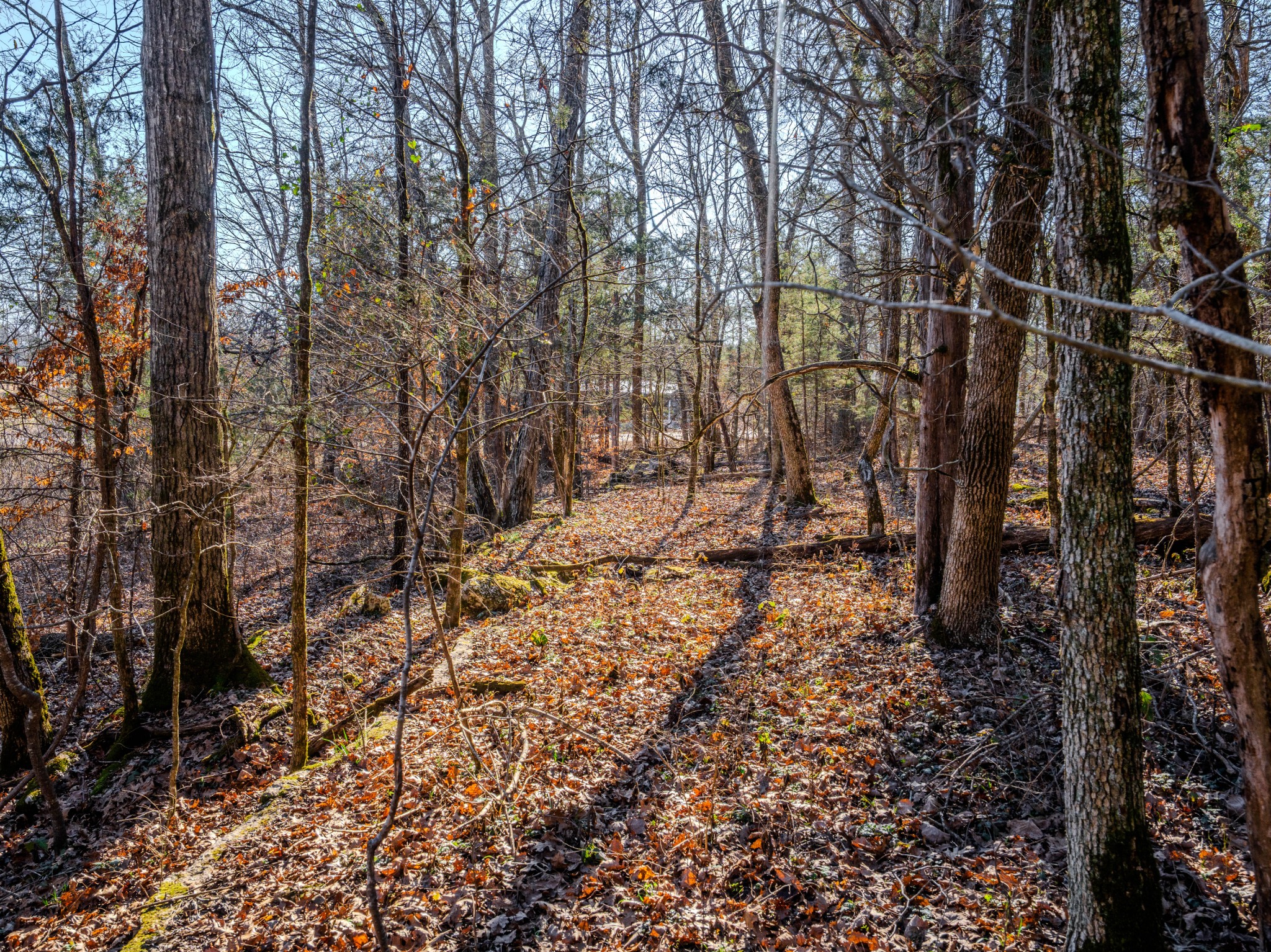0 Lasea Road Spring Hill TN 37174