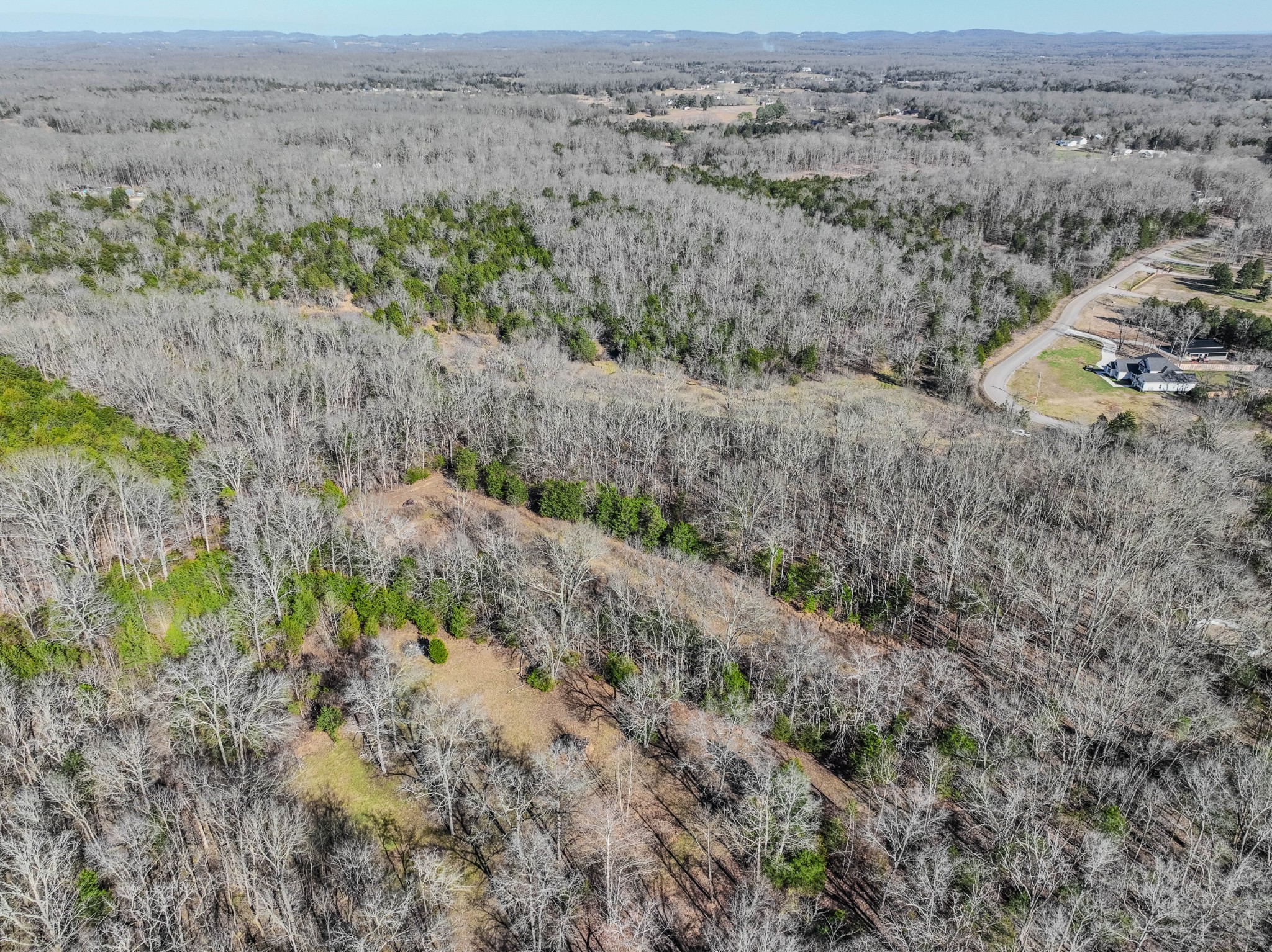 0 Lasea Road Spring Hill TN 37174