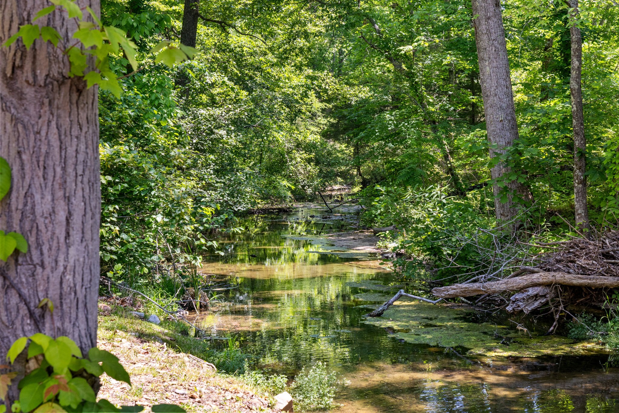 7646 Highway 100 Bon Aqua TN 37025