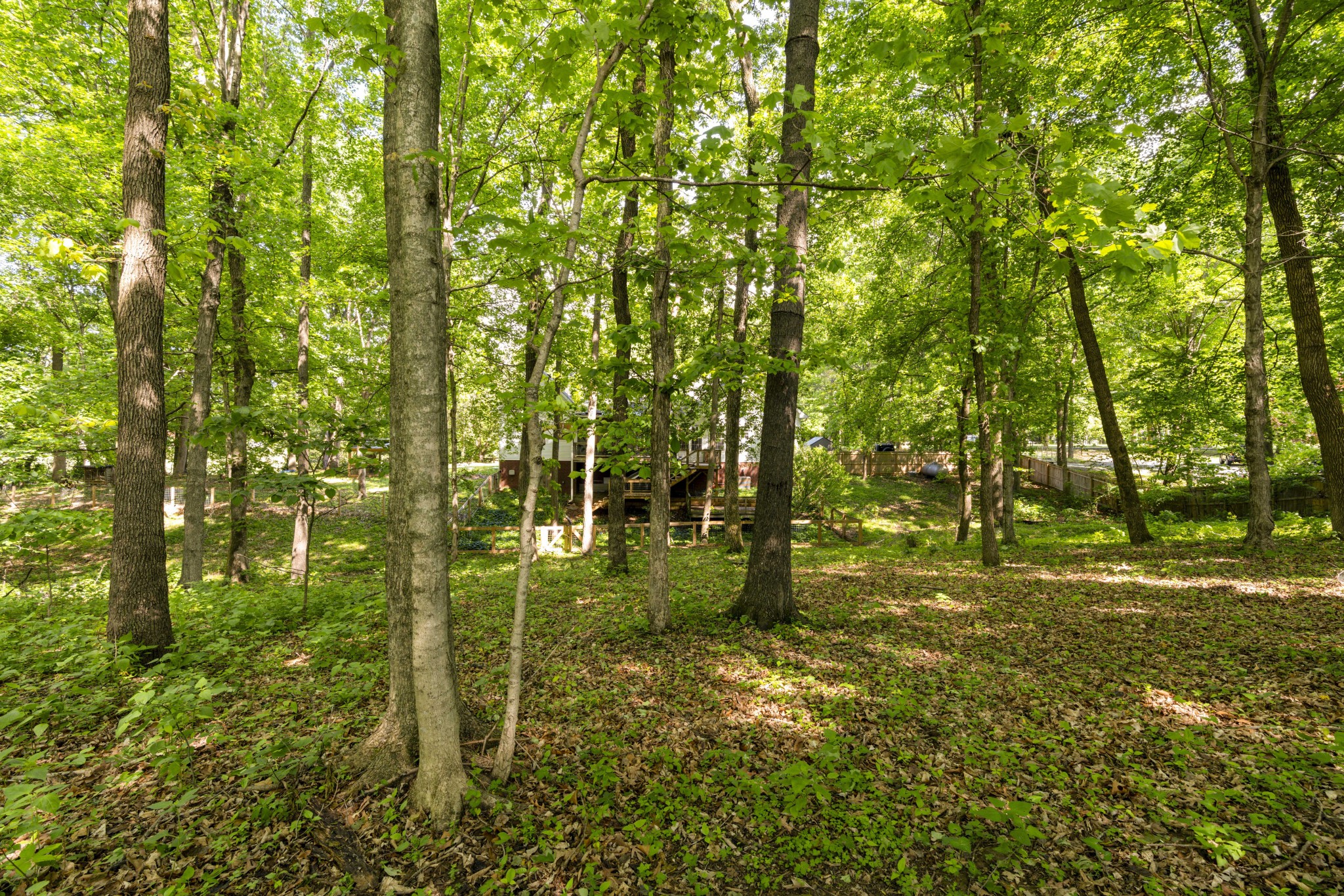 7339 Chowning Road Springfield TN 37172