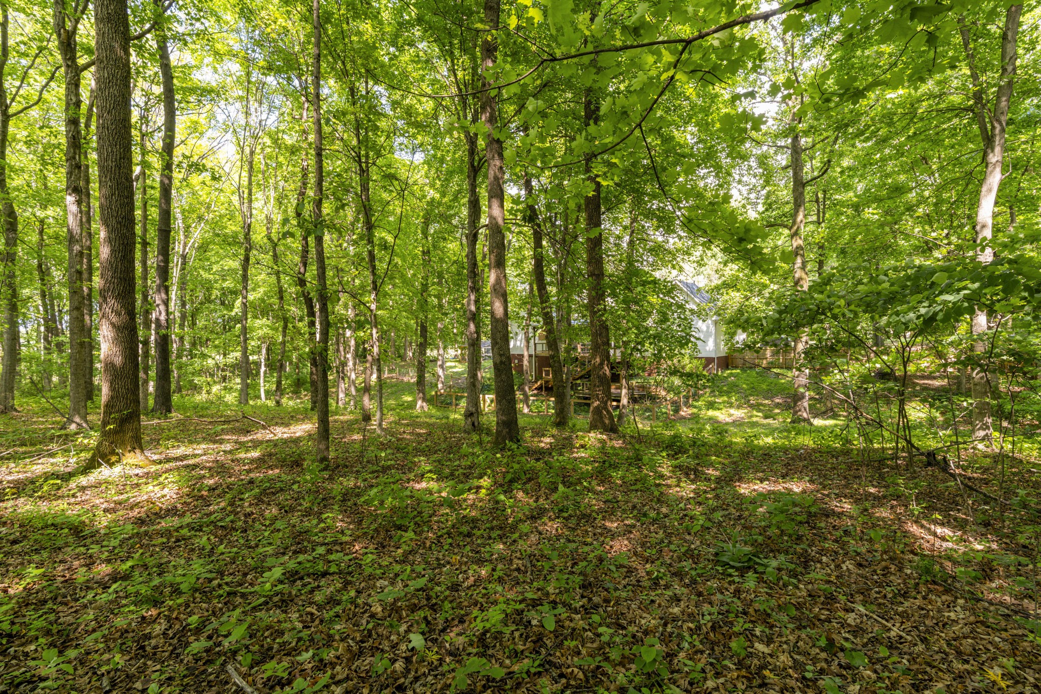 7339 Chowning Road Springfield TN 37172