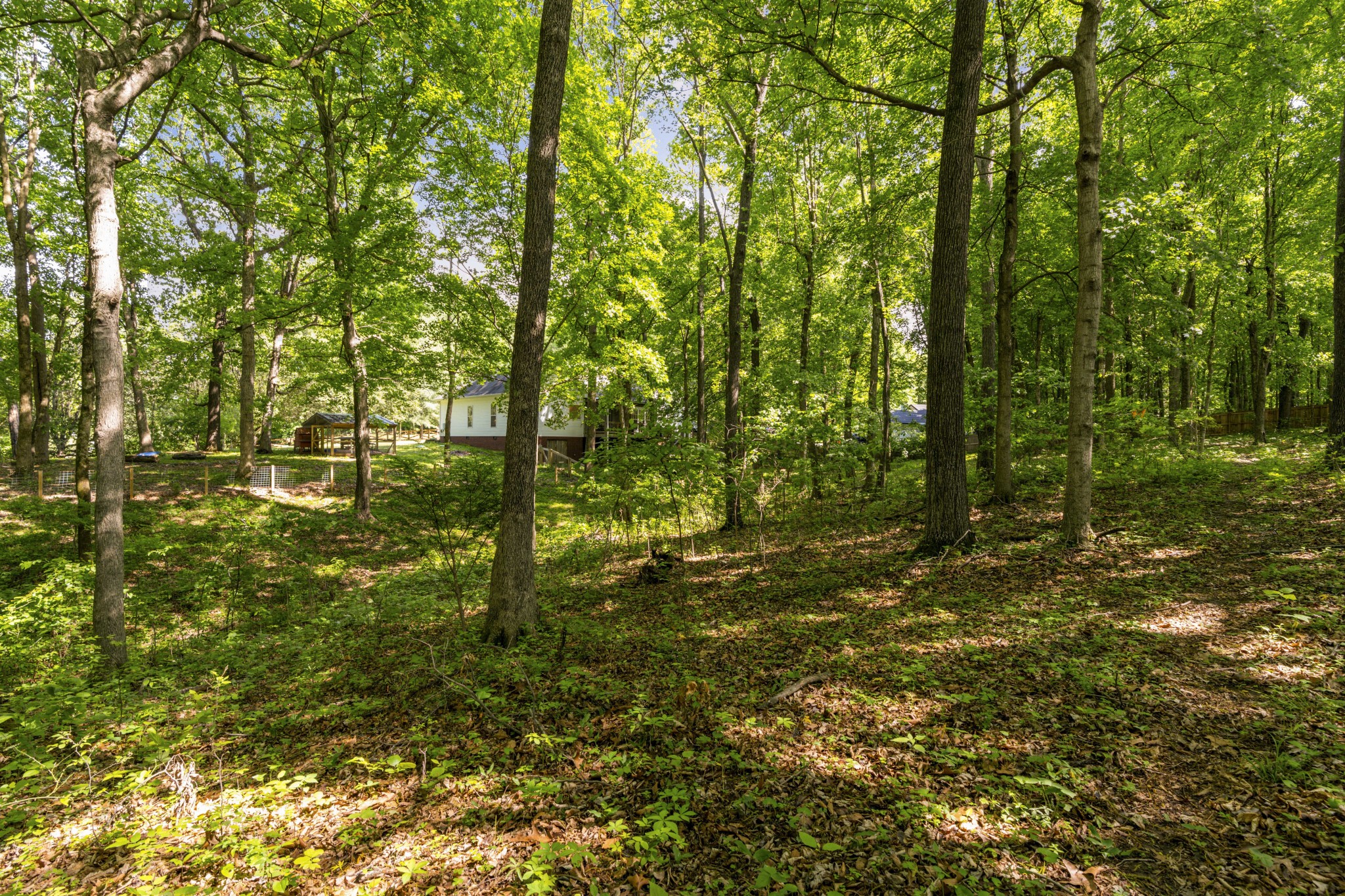 7339 Chowning Road Springfield TN 37172