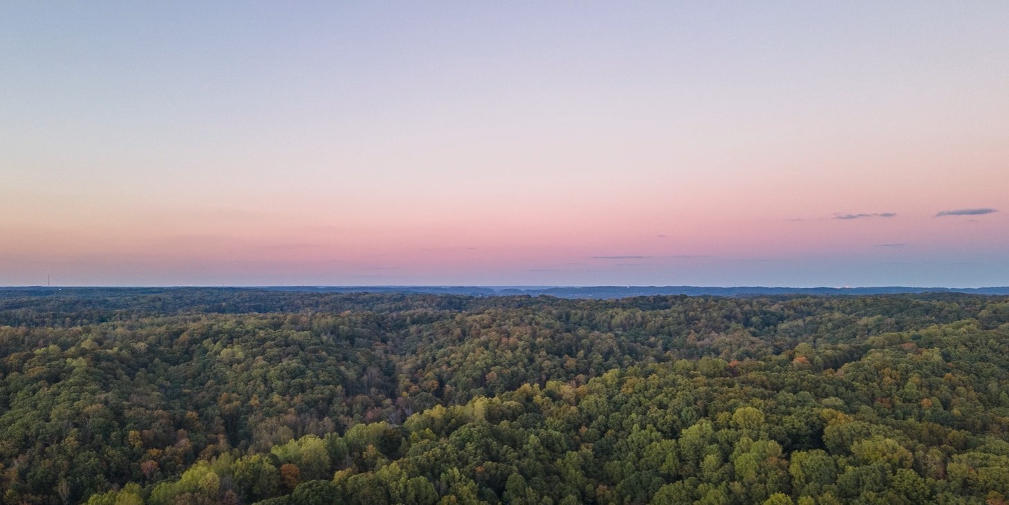 214 Berry Hunter Lane Franklin TN 37067