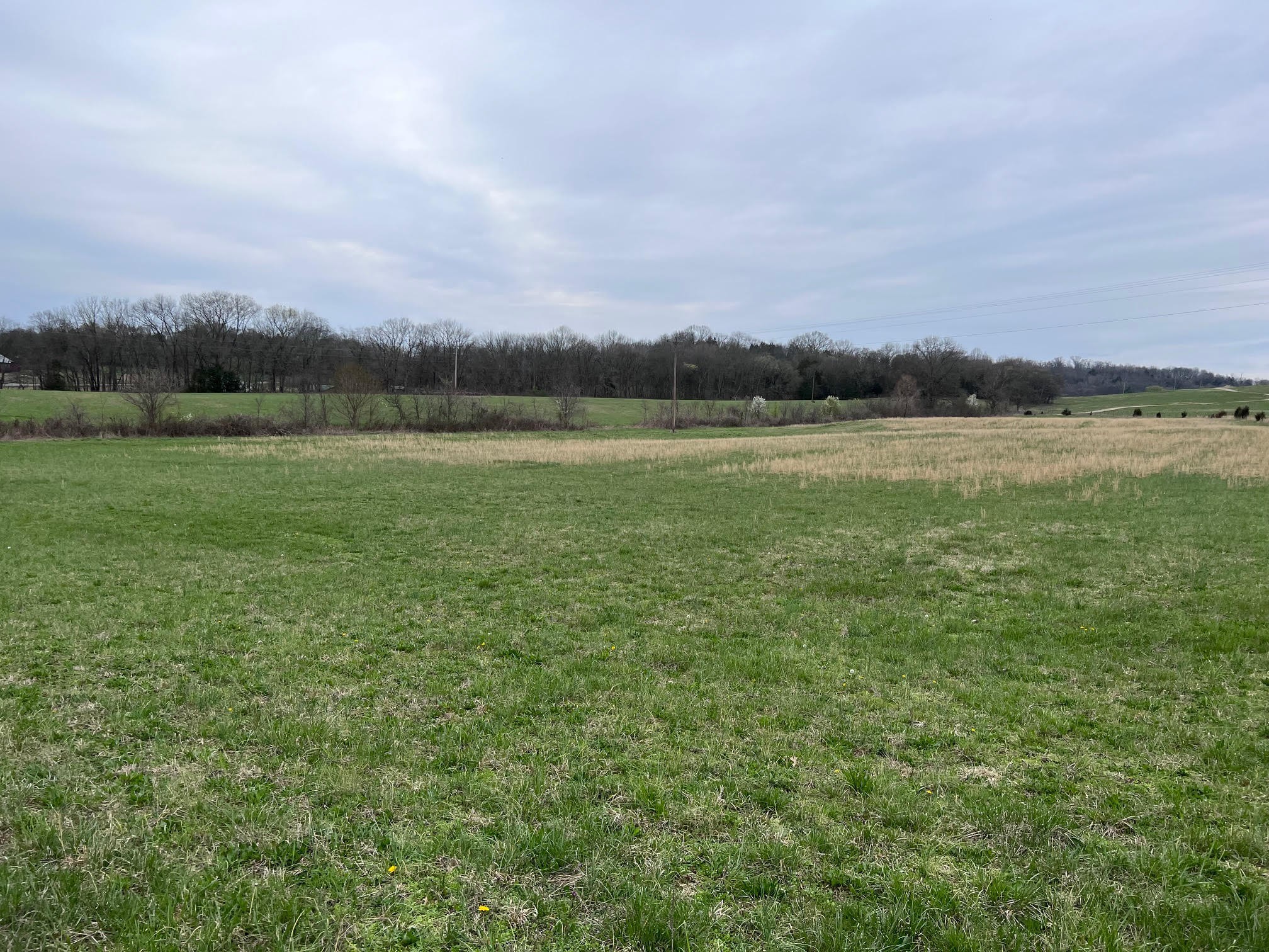 655 Chipman Road Bethpage TN 37022
